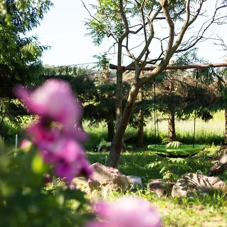 Apartmán W Sercu Mazur